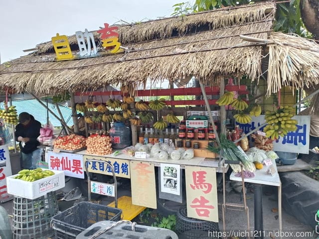 台東去花蓮