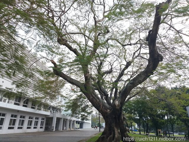 日月潭和屁仔家 - 第21張圖 日月潭和屁仔家