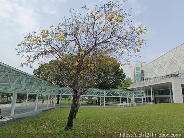 日月潭和屁仔家 - 第22張圖 日月潭和屁仔家