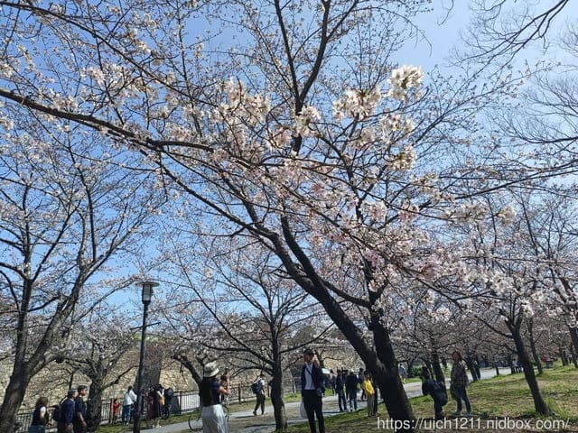 日本大阪之旅1 - 第37張圖 日本大阪之旅1