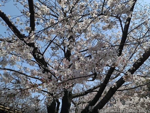 日本大阪之旅1 - 第35張圖 日本大阪之旅1