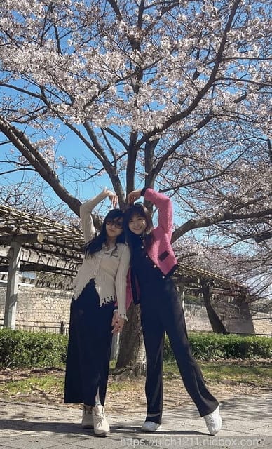 日本大阪之旅1 - 第71張圖 日本大阪之旅1
