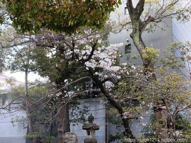 日本大阪之旅1 - 第31張圖 日本大阪之旅1