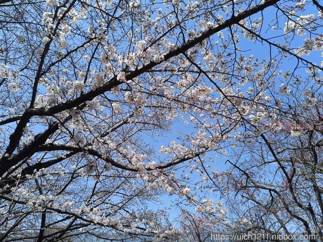 日本大阪之旅1 - 第43張圖 日本大阪之旅1