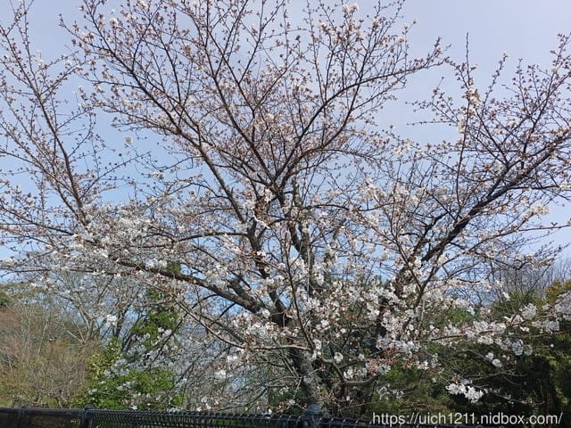日本大阪之旅2
