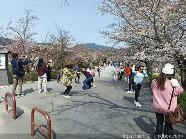 日本大阪之旅2