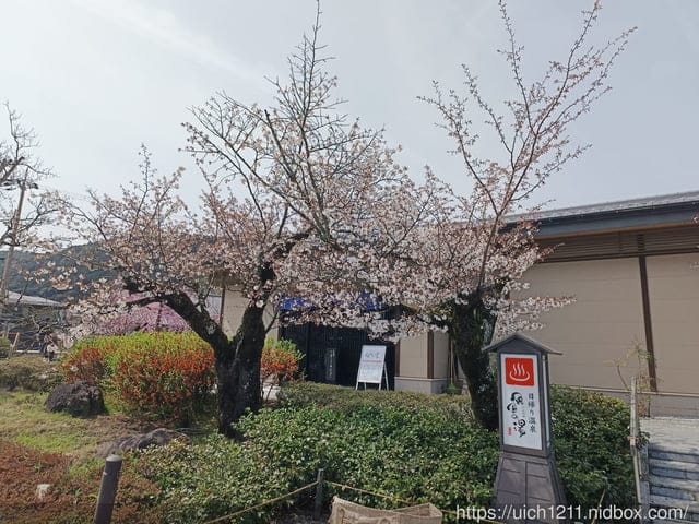 日本大阪之旅2