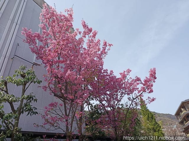 日本大阪之旅2