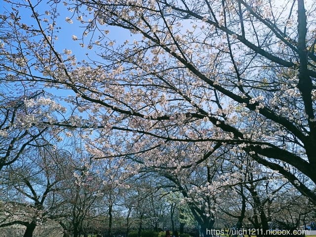 日本大阪之旅2