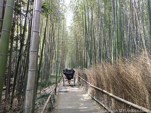 日本大阪之旅2