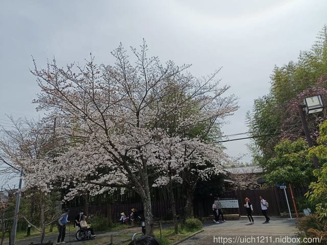 日本大阪之旅2
