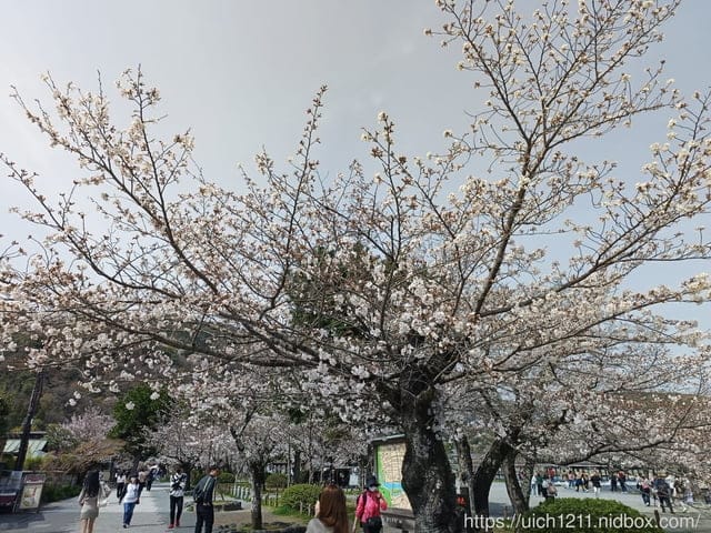 日本大阪之旅2