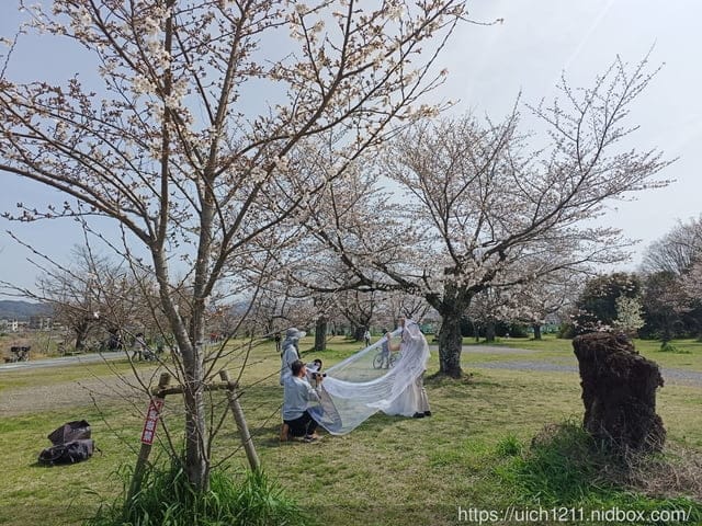 日本大阪之旅2