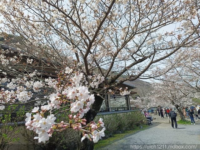 日本大阪之旅2