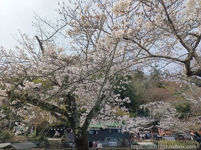 日本大阪之旅2