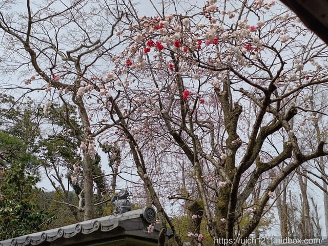 日本大阪之旅2