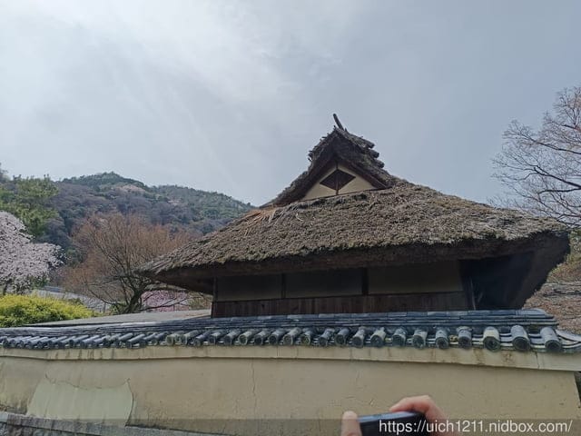 日本大阪之旅2