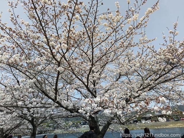 日本大阪之旅2