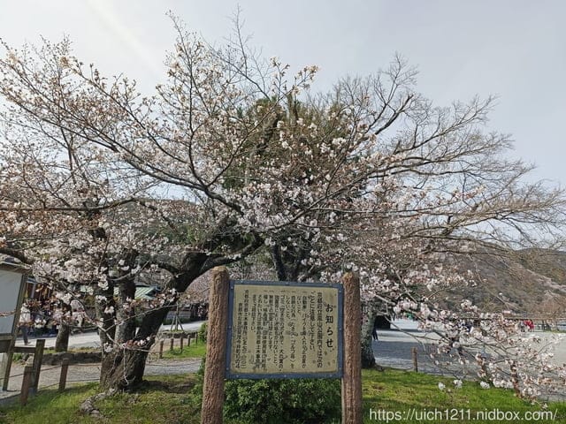 日本大阪之旅2