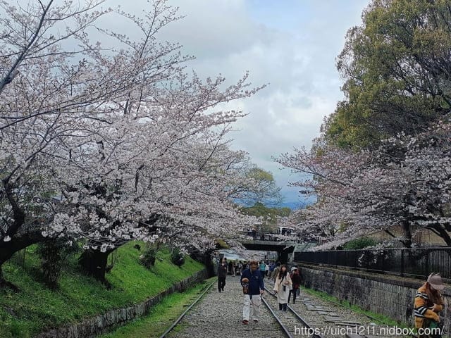 日本大阪之旅4