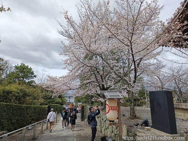 日本大阪之旅4