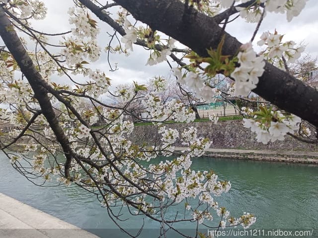 日本大阪之旅4
