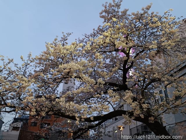 日本大阪之旅4