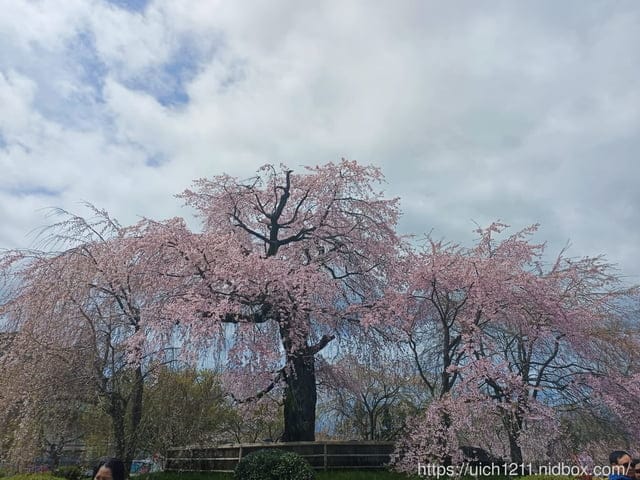 日本大阪之旅4