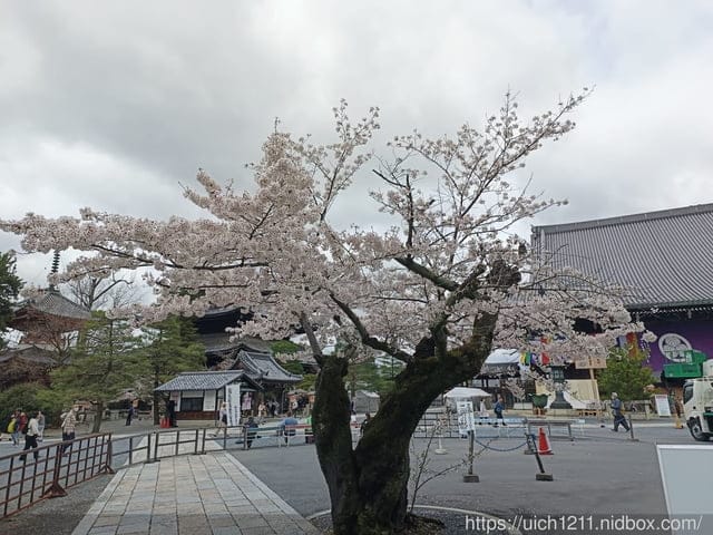 日本大阪之旅4