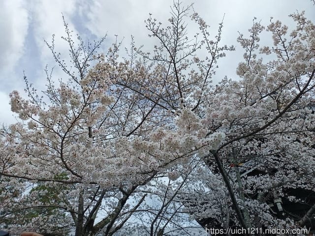 日本大阪之旅4