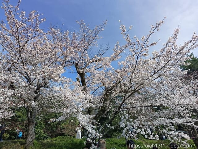 日本大阪之旅4