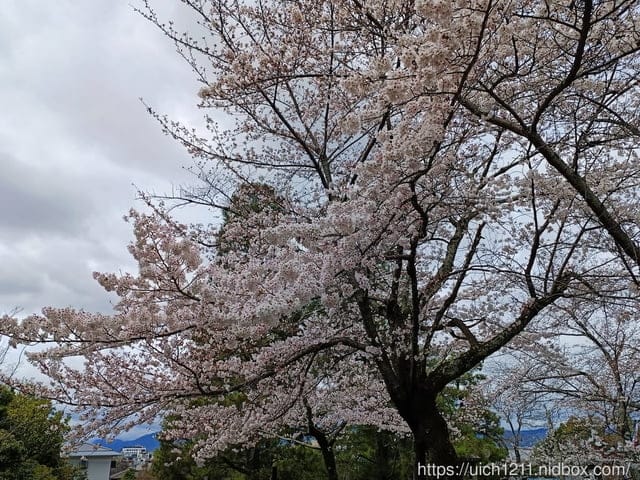 日本大阪之旅4