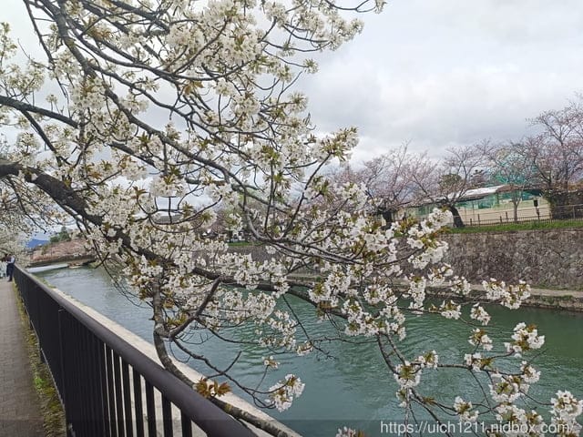日本大阪之旅4