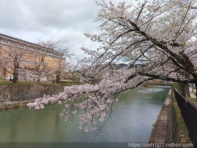 日本大阪之旅4