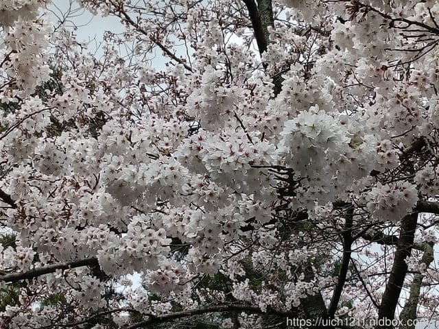 日本大阪之旅4