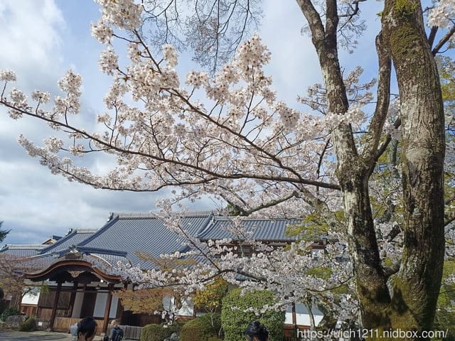 日本大阪之旅4