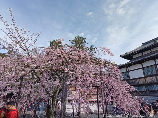 日本大阪之旅4