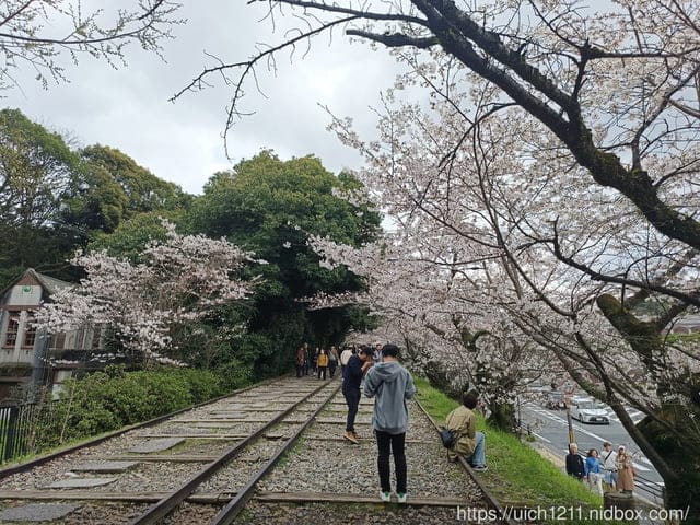 日本大阪之旅4