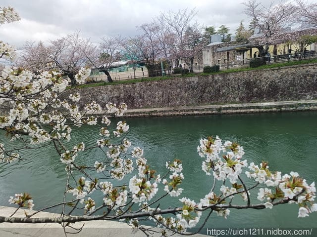 日本大阪之旅4