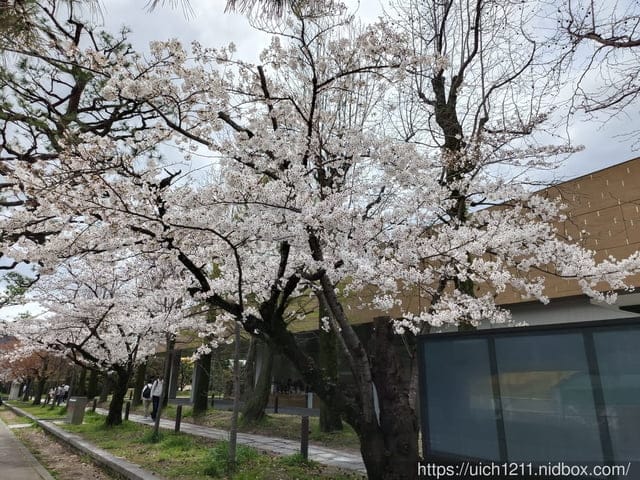 日本大阪之旅4