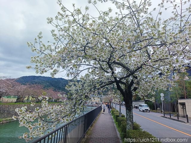 日本大阪之旅4
