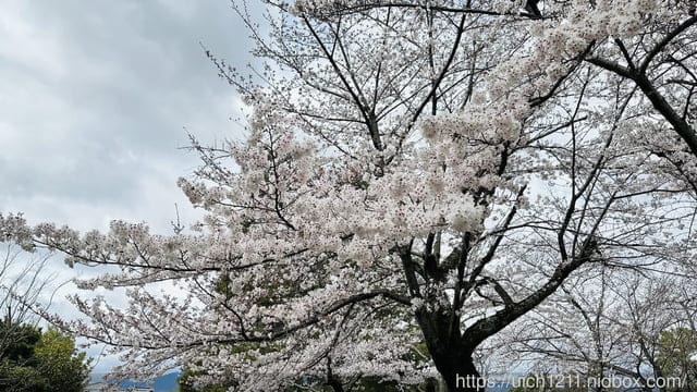 日本大阪之旅4