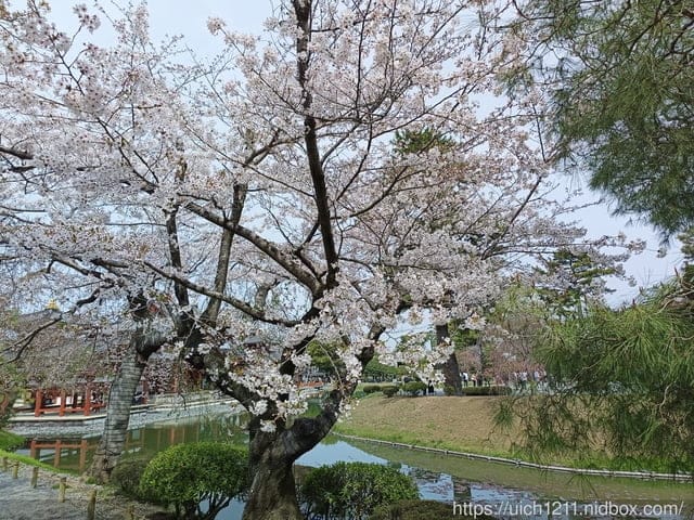 日本大阪之旅5 - 第30張圖 日本大阪之旅5