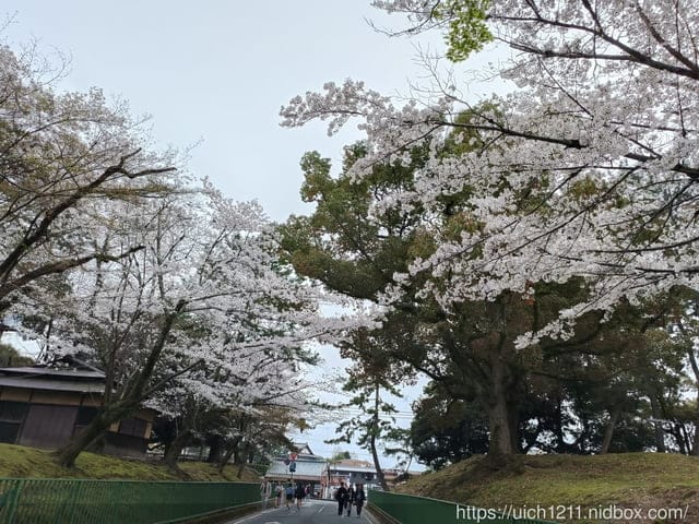 日本大阪之旅5 - 第48張圖 日本大阪之旅5