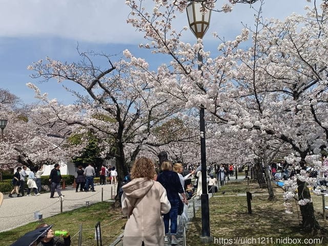 日本大阪之旅6 - 第32張圖 日本大阪之旅6