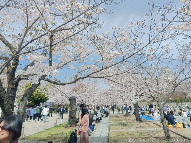 日本大阪之旅6 - 第34張圖 日本大阪之旅6