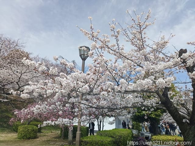 日本大阪之旅6 - 第35張圖 日本大阪之旅6