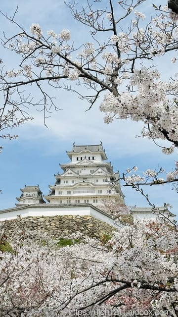 日本大阪之旅6 - 第26張圖 日本大阪之旅6