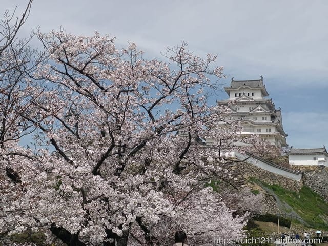 日本大阪之旅6 - 第37張圖 日本大阪之旅6