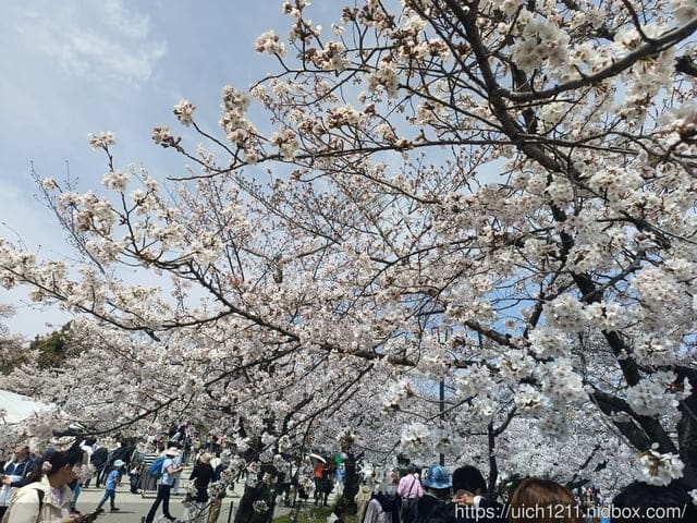 日本大阪之旅6 - 第17張圖 日本大阪之旅6